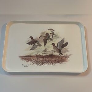 Vintage Green Winged Teal Ducks Hard Plastic Tray Made in Italy 17 1/4 x 11 1/2”